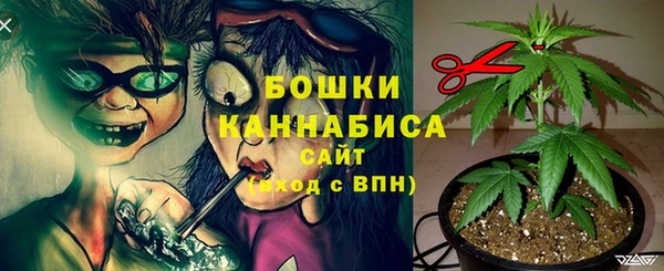 шишки Вяземский